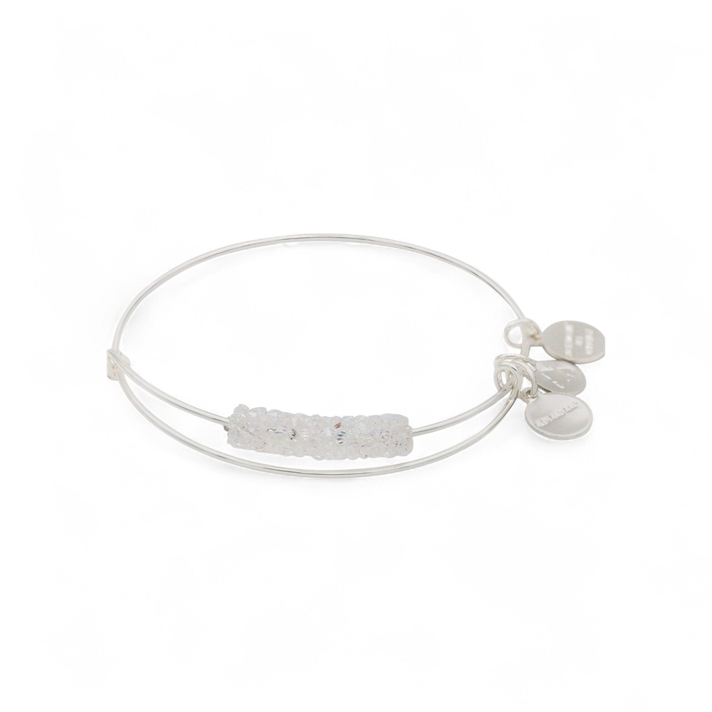 Alex And Ani Ice Storm Fine Rocks Bangle Bracelet